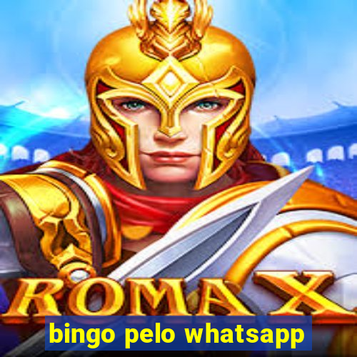 bingo pelo whatsapp